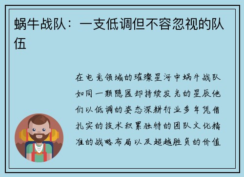 蜗牛战队：一支低调但不容忽视的队伍