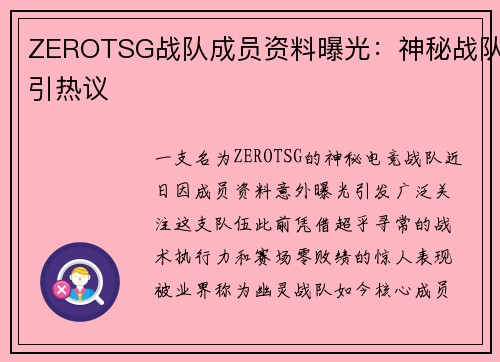 ZEROTSG战队成员资料曝光：神秘战队引热议