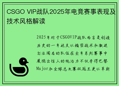 CSGO VIP战队2025年电竞赛事表现及技术风格解读